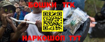 шишки Канаш