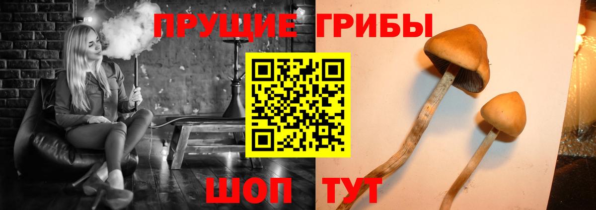 Луховицы  Галлюциногенные грибы Magic Shrooms  Вход с VPN  Псилоцибиновые грибы Psilocybine cubensis 